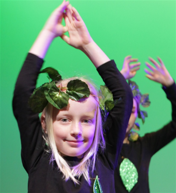 Holiday Workshops